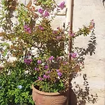 Voyage Du Mas Des Fontaines Couette-café Montagnac (Herault)