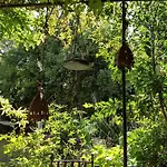 Voyage Du Mas Des Fontaines Couette-café Montagnac (Herault)