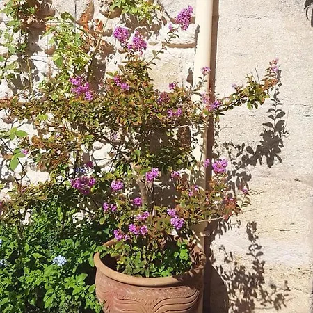 Chambre Voyage Du Mas Des Fontaines Bed & Breakfast Montagnac (Herault)