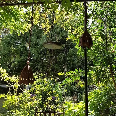 Voyage Du Mas Des Fontaines Bed & Breakfast Montagnac (Herault)