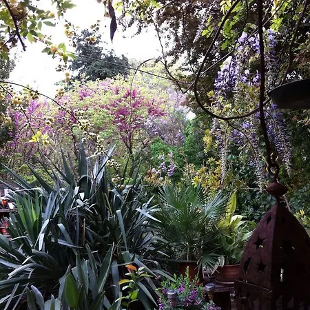 Chambre Voyage Du Mas Des Fontaines Bed & Breakfast *