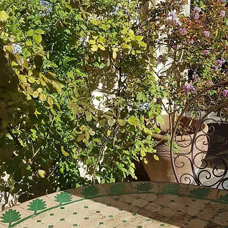 Voyage Du Mas Des Fontaines 4* Montagnac (Herault)