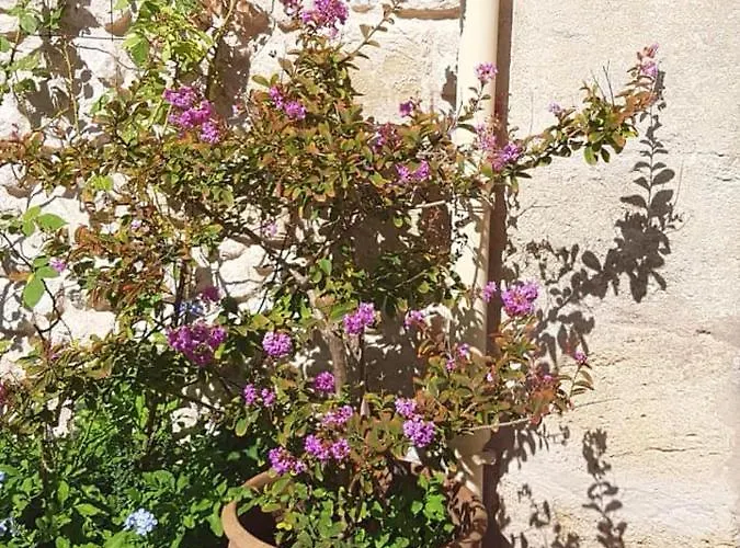 Voyage Du Mas Des Fontaines Bed & Breakfast Montagnac (Herault)