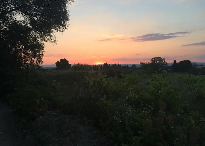Bed & Breakfast Voyage Du Mas Des Fontaines Montagnac (Herault)