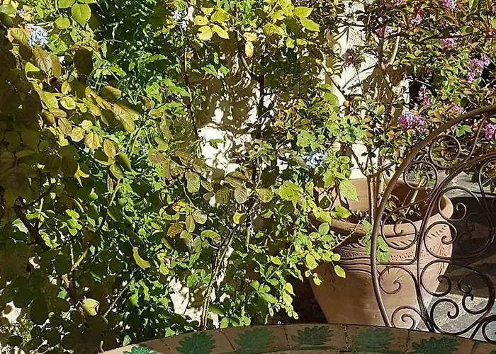 Voyage Du Mas Des Fontaines 4* Montagnac (Herault)